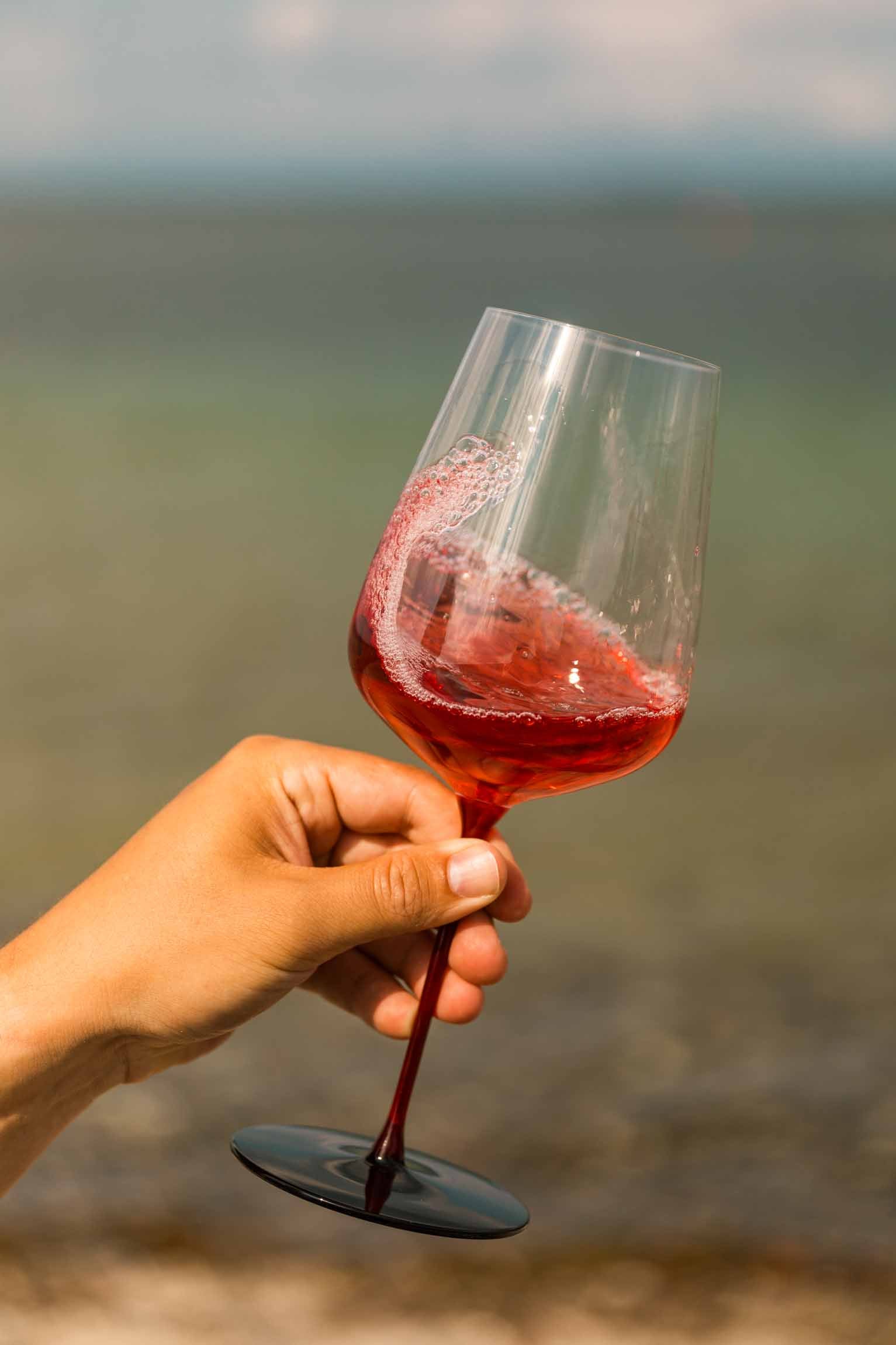 Eisch RED Allround vinglas