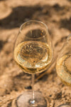 Eisch Champagne glas